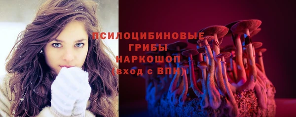шишки Алзамай
